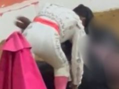 Indignación en Madrid por corrida de toros: desata polémica nacional