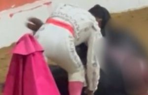 Indignación en Madrid por corrida de toros: desata polémica nacional