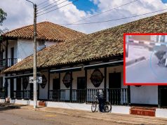 La golpearon y robaron a metros de su casa en Madrid