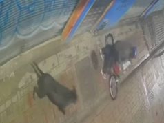 Vuelve y juega continúan los robos de contadores de agua