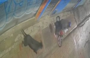 Vuelve y juega continúan los robos de contadores de agua