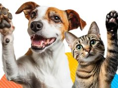 ¡Únete a la defensa de los animales en Mosquera!