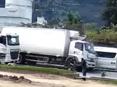 Intentó esquivar un perrito y causó un accidente: conductor quedó atrapado