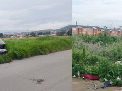 Comunidad de Madrid denuncia abandono y falta de recolección de basuras