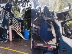 Camión se estrella contra un árbol: al menos dos personas heridas