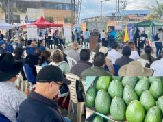 Primer Encuentro de Productores de Aguacate Hass