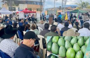 Primer Encuentro de Productores de Aguacate Hass