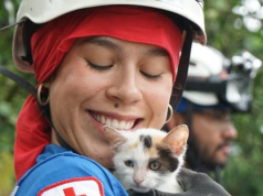 Tras el sismo, Cundinamarca atiende a los animales afectados
