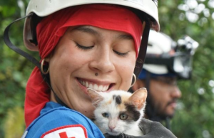 Tras el sismo, Cundinamarca atiende a los animales afectados