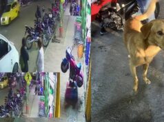 En Cundinamarca se reportó una denuncia ciudadana por maltrato animal