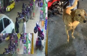 En Cundinamarca se reportó una denuncia ciudadana por maltrato animal