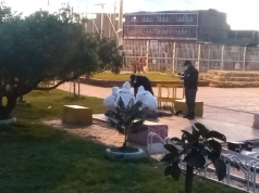 Nuevo caso de sicariato sacude a Soacha