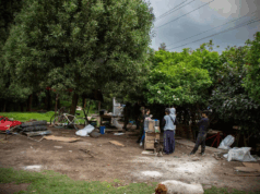 Autoridades actúan en zonas invadidas de Madrid