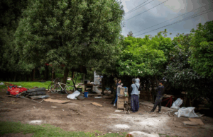 Autoridades actúan en zonas invadidas de Madrid