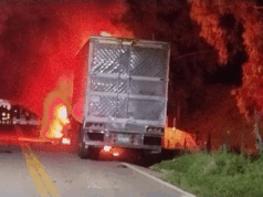 Tractomula se incinera tras choque con motocicleta