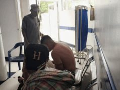 Enjambre de abejas ataca a estudiantes durante excursión