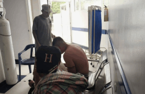 Enjambre de abejas ataca a estudiantes durante excursión