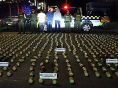 Incautan 350 kilos de marihuana y capturan a tres homicidas