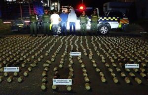 Incautan 350 kilos de marihuana y capturan a tres homicidas