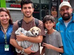 Mosquera fortalece el bienestar animal con exitosa jornada de adopción