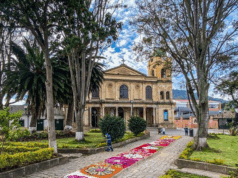 Madrid eligió a sus nuevos representantes del Comité Municipal de Discapacidad