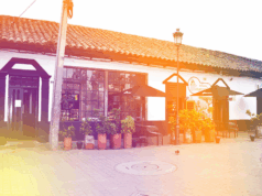 Las Margaritas enfrenta grave crisis por millonaria estafa