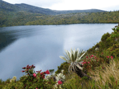 Chingaza: el paraíso natural que protege el agua de millones de colombianos