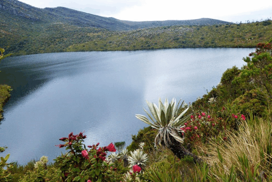 Chingaza: el paraíso natural que protege el agua de millones de colombianos