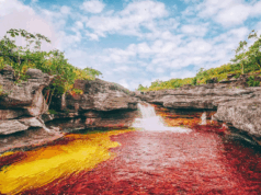 Caño Cristales inicia nueva temporada de visitas en la Macarena