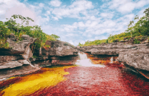Caño Cristales inicia nueva temporada de visitas en la Macarena