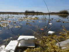 Proyecto ambiental para la Sabana en suspenso ante presiones