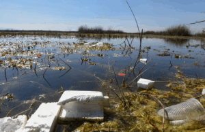 Proyecto ambiental para la Sabana en suspenso ante presiones