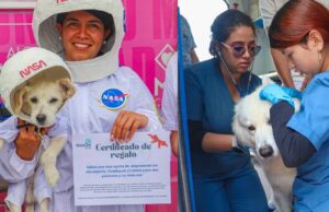 Mosquera celebró la Semana de Bienestar Animal