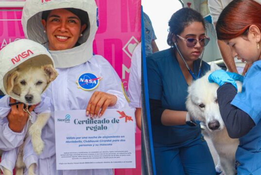 Mosquera celebró la Semana de Bienestar Animal