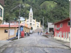 Este es el municipio de Cundinamarca que tiene uno de los mejores cafés de Colombia