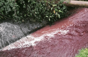 Autoridades suspenden vertimiento ilegal de matadero en Mosquera