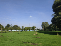 Mosquera inauguró un parque de 22.000 m²: buena noticia