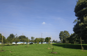 Mosquera inauguró un parque de 22.000 m²: buena noticia