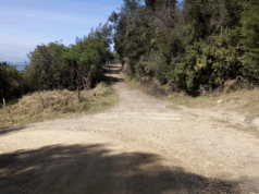 Funza pavimentará nueva vía para tener más salidas a Bogotá