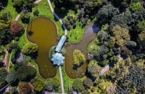 ¿Sin planes? Actividades imperdibles para hacer estas vacaciones