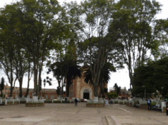 ¡A plena luz del día! Sicarios en asesinan a un hombre en Mosquera