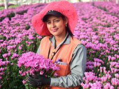 En Cundinamarca: decisión de Ecuador amenaza con hundir la floricultura