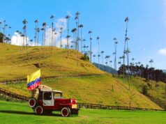 Valle de Cocora impulsa el turismo de naturaleza en el Eje Cafetero
