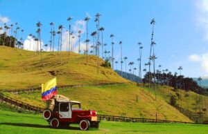 Valle de Cocora impulsa el turismo de naturaleza en el Eje Cafetero