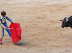 Alcaldía de Madrid negó autorización para corrida de toros del 17 de enero Madrid