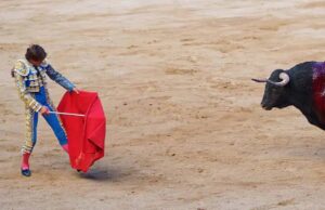 Alcaldía de Madrid negó autorización para corrida de toros del 17 de enero Madrid