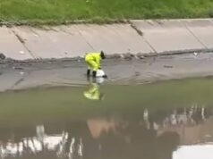 Hallan restos humanos desmembrados en Bogotá: autoridades investigan