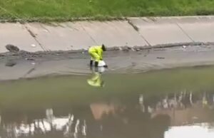 Hallan restos humanos desmembrados en Bogotá: autoridades investigan