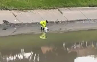 Hallan restos humanos desmembrados en Bogotá: autoridades investigan