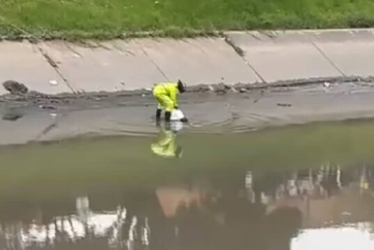 Hallan restos humanos desmembrados en Bogotá: autoridades investigan